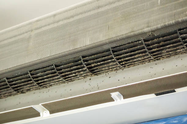 Best Home Air Vent Cleaning  in Marlinton, WV